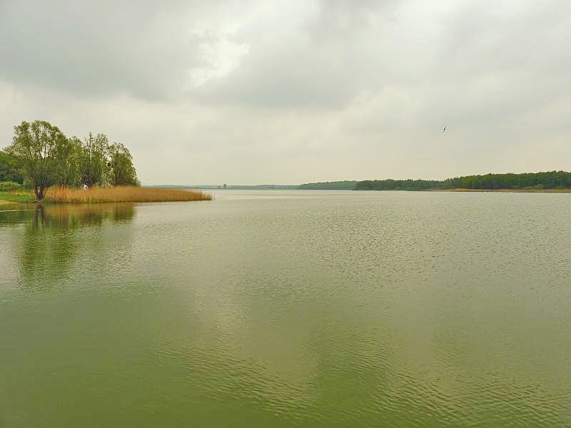 Lothringen : Lac de Madine
