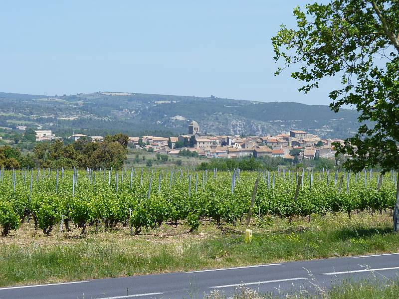 Languedoc : Minervois
